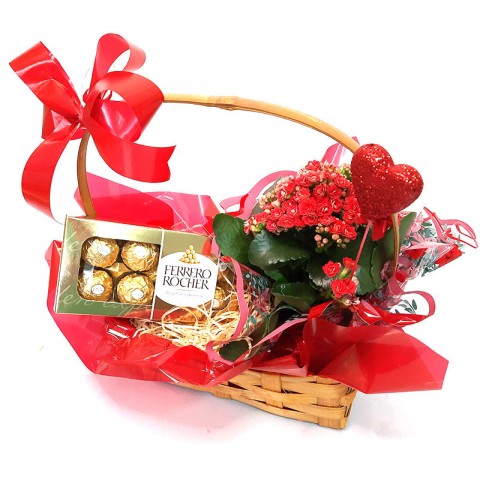 Arranjo Amo-te Todo Dia